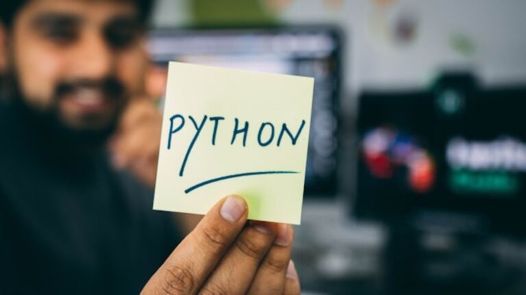 What is the Python Programming Language? - SOC AEP